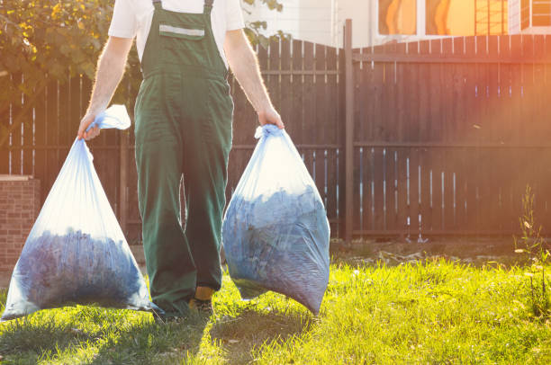Best Dumpster Rental Services  in Lake View, AL